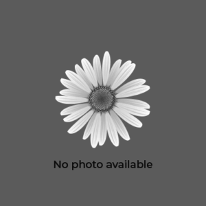 LONICERA x 'Mandarin' PP11083